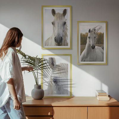 Billedvæg inspiration Hvide heste i naturen
