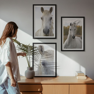 Billedvæg inspiration Hvide heste i naturen