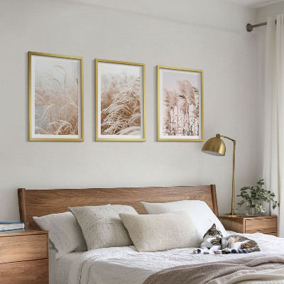 Billedvæg inspiration Græsmarker i brunt og beige