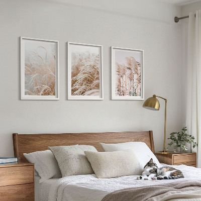 Billedvæg inspiration Græsmarker i brunt og beige