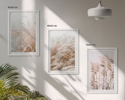 Billedvæg inspiration Græsmarker i brunt og beige