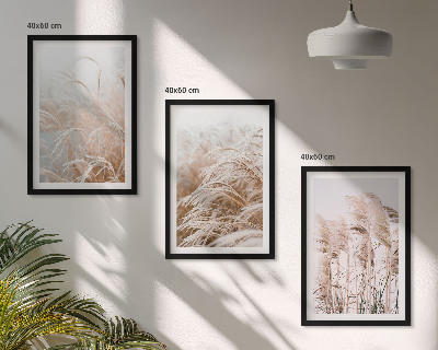 Billedvæg inspiration Græsmarker i brunt og beige