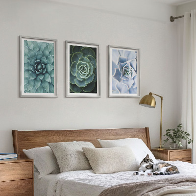Billedvæg inspiration Sukkulente planter grøn turkis