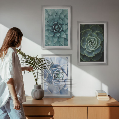 Billedvæg inspiration Sukkulente planter grøn turkis
