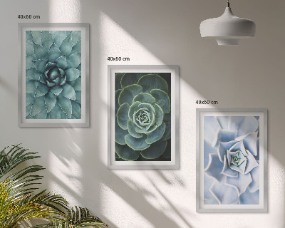 Billedvæg inspiration Sukkulente planter grøn turkis