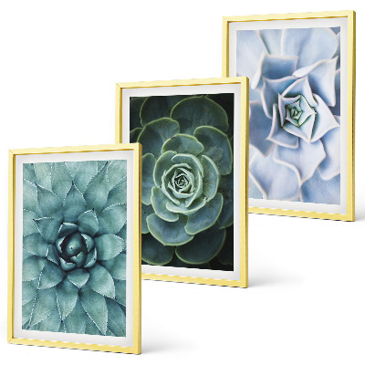 Billedvæg inspiration Sukkulente planter grøn turkis