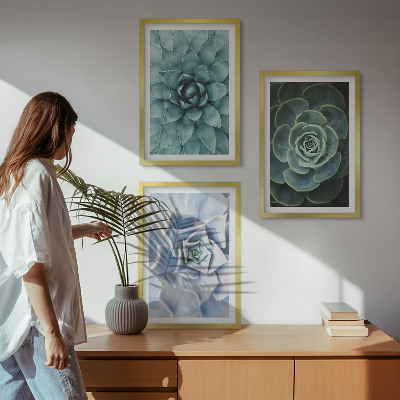 Billedvæg inspiration Sukkulente planter grøn turkis