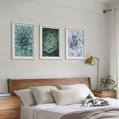 Billedvæg inspiration Sukkulente planter grøn turkis