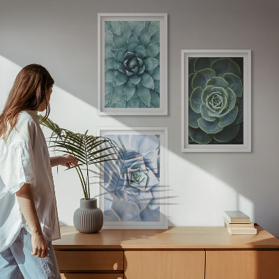 Billedvæg inspiration Sukkulente planter grøn turkis