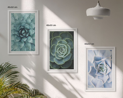 Billedvæg inspiration Sukkulente planter grøn turkis