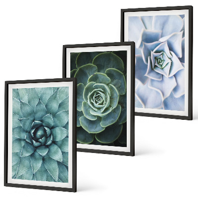 Billedvæg inspiration Sukkulente planter grøn turkis