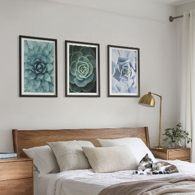 Billedvæg inspiration Sukkulente planter grøn turkis