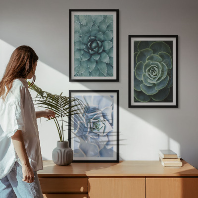 Billedvæg inspiration Sukkulente planter grøn turkis