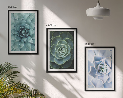 Billedvæg inspiration Sukkulente planter grøn turkis