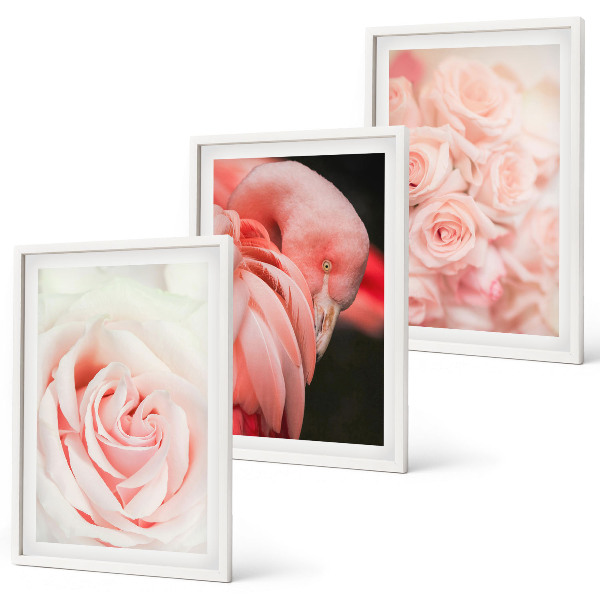 Triptykon billeder med ramme Pastelrosa flamingoer delikat