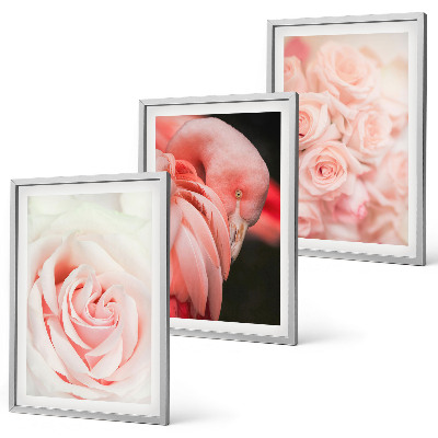 Triptykon billeder med ramme Pastelrosa flamingoer delikat