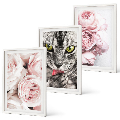 Billedvæg inspiration Kat i lyserøde blomster