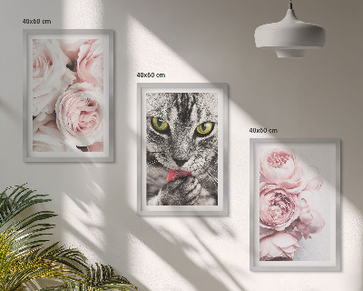 Billedvæg inspiration Kat i lyserøde blomster