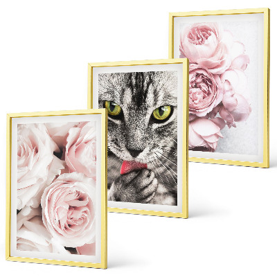 Billedvæg inspiration Kat i lyserøde blomster