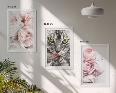 Billedvæg inspiration Kat i lyserøde blomster