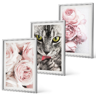 Billedvæg inspiration Kat i lyserøde blomster