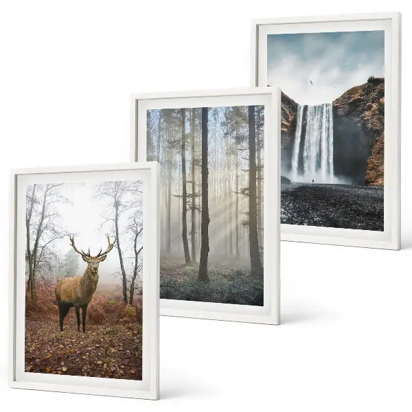 Triptyk-billeder med ramme motiver af vild natur i skovlandskaber