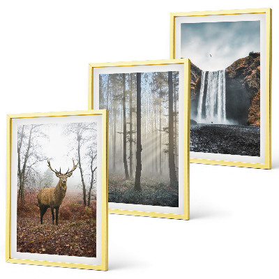 Triptykon billeder med ramme Skovlandskaber vild natur