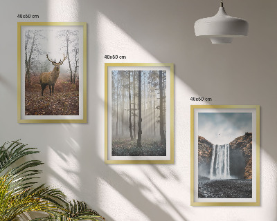 Triptykon billeder med ramme Skovlandskaber vild natur