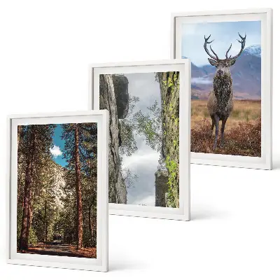 Billedvæg med naturmotiv af skov, bjerge og hjorte
