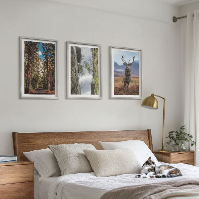 Billedvæg inspiration vej skov bjerge hjorte natur