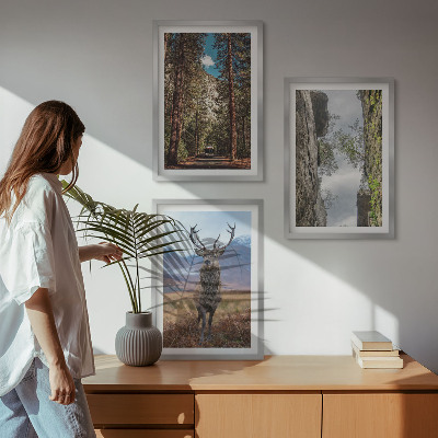 Billedvæg inspiration vej skov bjerge hjorte natur