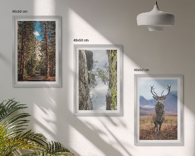 Billedvæg inspiration vej skov bjerge hjorte natur