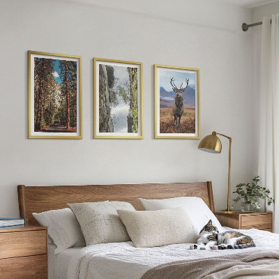 Billedvæg inspiration vej skov bjerge hjorte natur