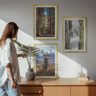 Billedvæg inspiration vej skov bjerge hjorte natur