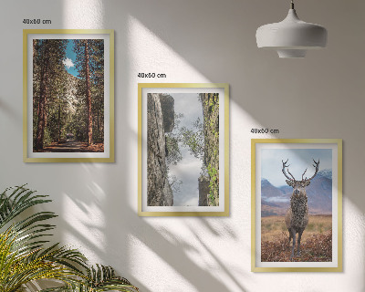 Billedvæg inspiration vej skov bjerge hjorte natur