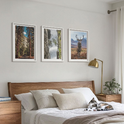 Billedvæg inspiration vej skov bjerge hjorte natur