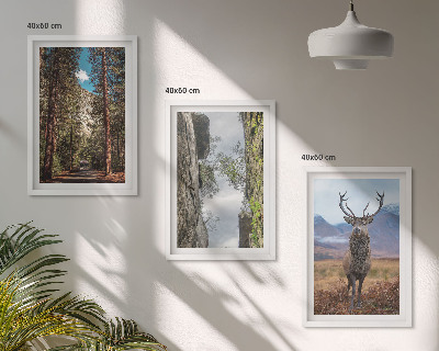 Billedvæg inspiration vej skov bjerge hjorte natur