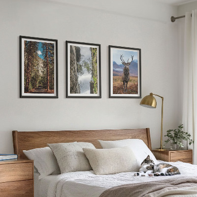Billedvæg inspiration vej skov bjerge hjorte natur