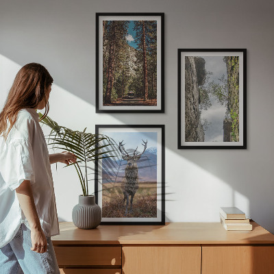 Billedvæg inspiration vej skov bjerge hjorte natur