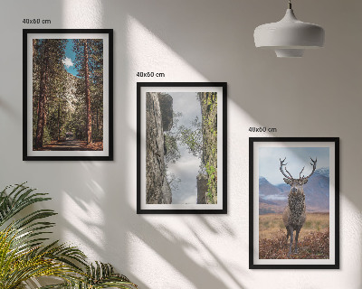 Billedvæg inspiration vej skov bjerge hjorte natur