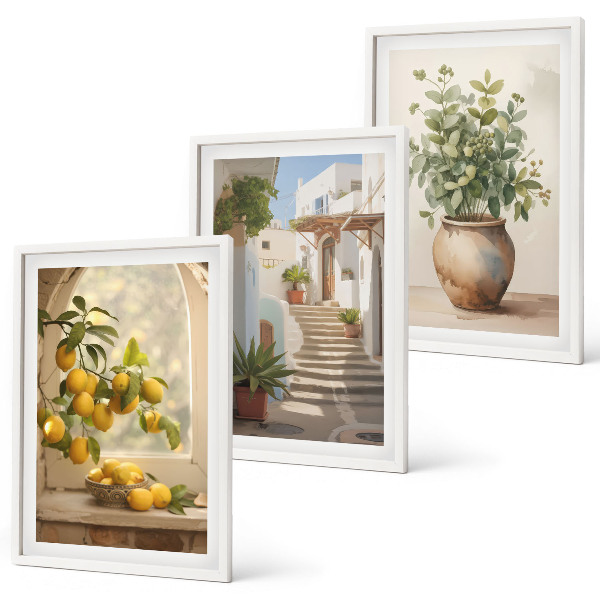 Billedvæg inspiration Citroner i en plantevase