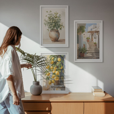 Billedvæg inspiration Planter i potter, citroner, gade