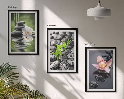 Triptykon billeder med ramme En rolig zen-komposition af blomster og vand