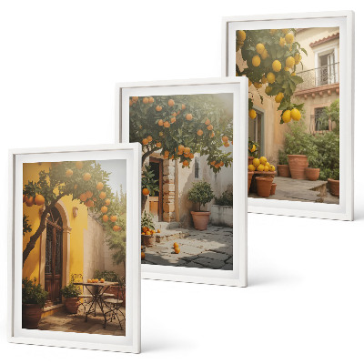 Billedvæg inspiration Citruspotter på solrig terrasse