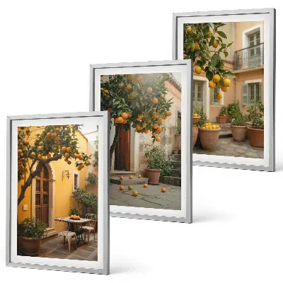 Have citrus sol triptykon billede med ramme