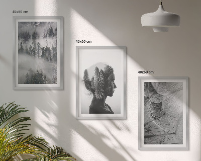 Billedvæg inspiration skov tåge portræt træ mælkebøtte