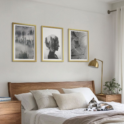 Billedvæg inspiration skov tåge portræt træ mælkebøtte