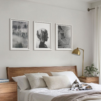 Billedvæg inspiration skov tåge portræt træ mælkebøtte