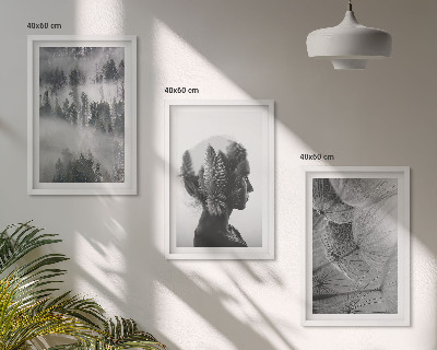 Billedvæg inspiration skov tåge portræt træ mælkebøtte