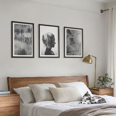 Billedvæg inspiration skov tåge portræt træ mælkebøtte